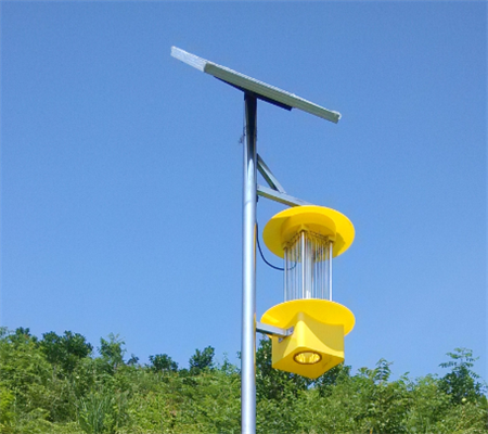 太陽能殺蟲燈為固始縣蔬菜基地高產(chǎn)提供保障