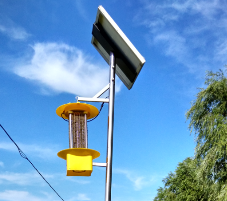 太陽(yáng)能殺蟲(chóng)燈誘殺楊樹(shù)林蟲(chóng)害的效益