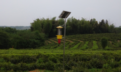 太陽(yáng)能殺蟲燈順應(yīng)現(xiàn)代農(nóng)業(yè)發(fā)展