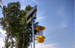 殺蟲(chóng)燈防治杏樹(shù)害蟲(chóng)天幕毛蟲(chóng)