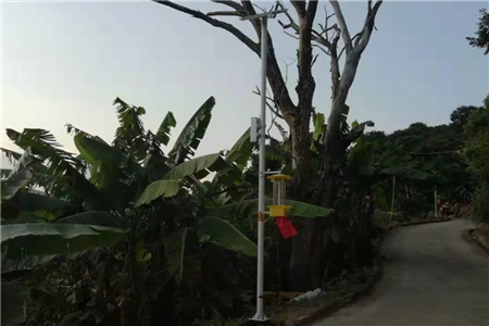 自清蟲太陽(yáng)能殺蟲燈