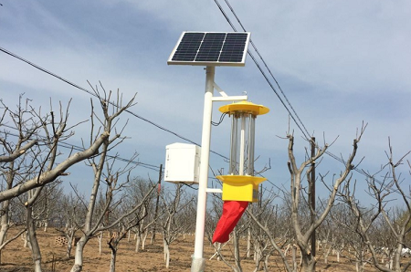 物聯(lián)網(wǎng)殺蟲燈