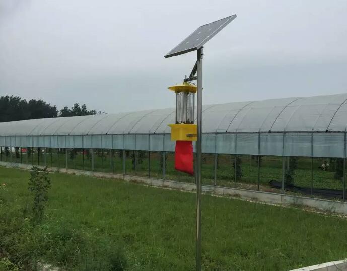 殺蟲(chóng)燈在蔬菜蟲(chóng)害防治中效果顯著